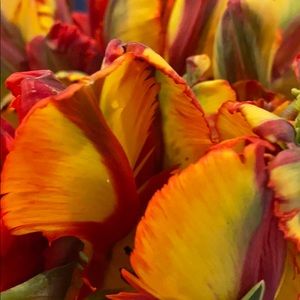 Meet your Posher, Barbara